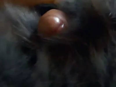ਹੇਲੋਵੀਨ ਪਾਰਟੀ ਦੌਰਾਨ busty slut ਅਜਨਬੀ ਨਾਲ copulates